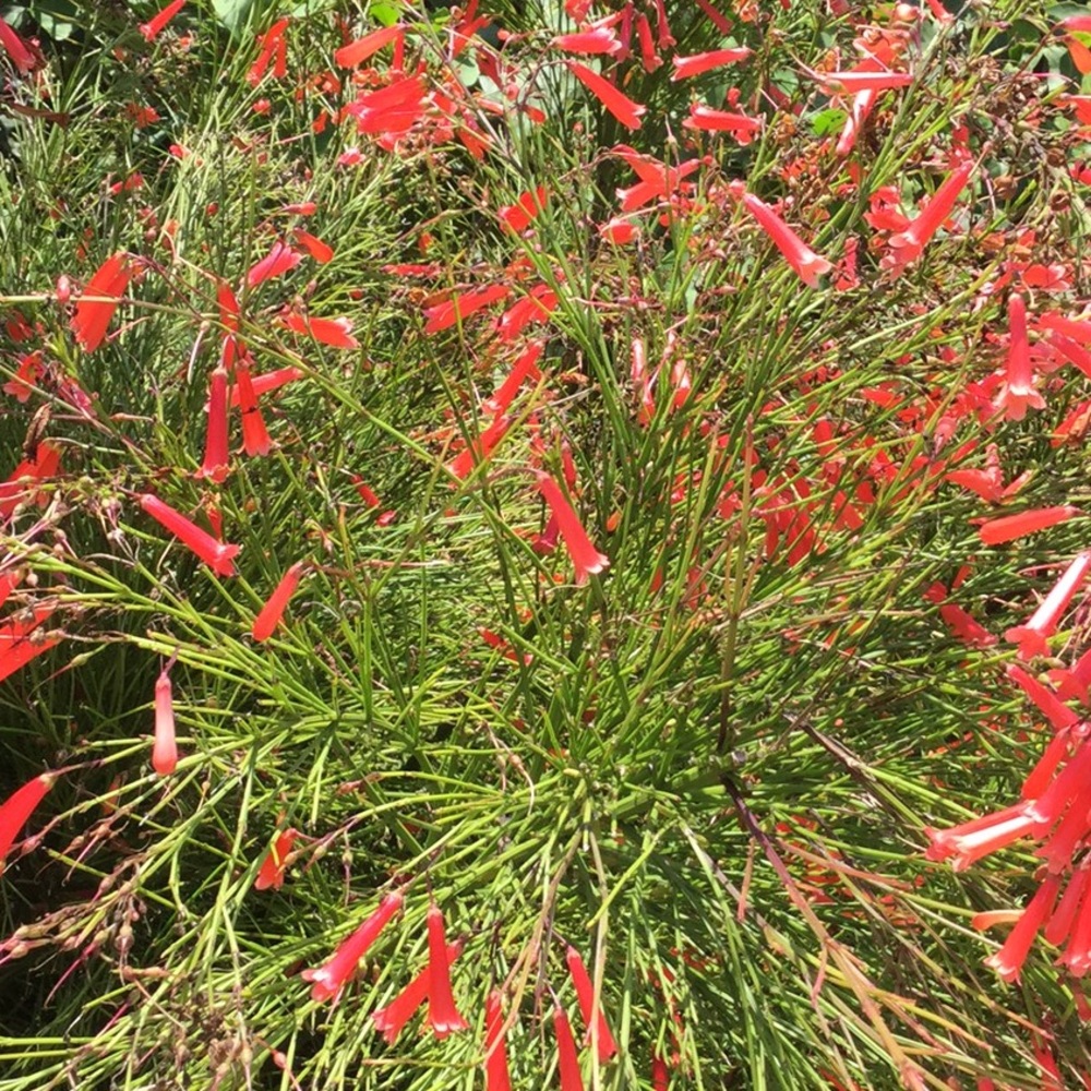 Meet your Posher, Elaine